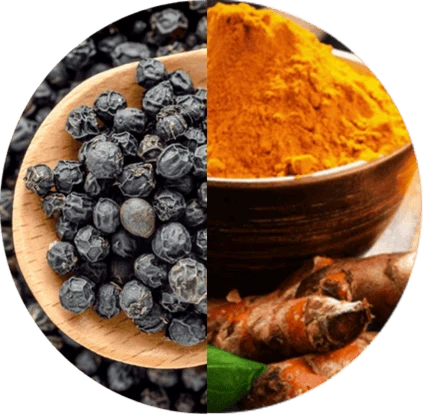 Turmeric + Piperine Complex