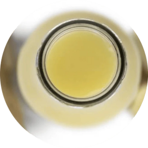 Concentrated Gingerol Extract